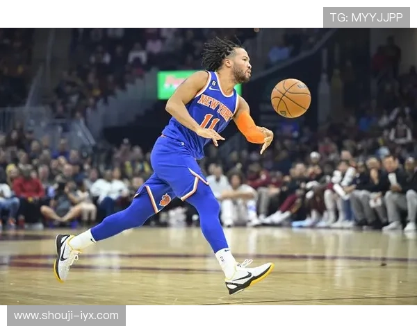 新爱体育官网下载：详细步骤帮助用户快速完成软件下载与安装