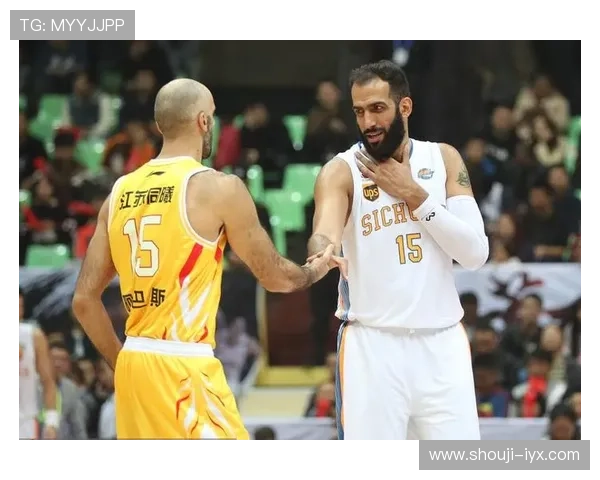 新爱体育国际首页：汇聚全球体育资源，打造专业全面的体育信息门户