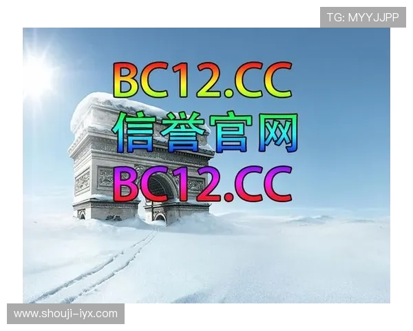 爱游戏体育登陆网址合作伙伴介绍，了解平台背后的合作资源与支持力量